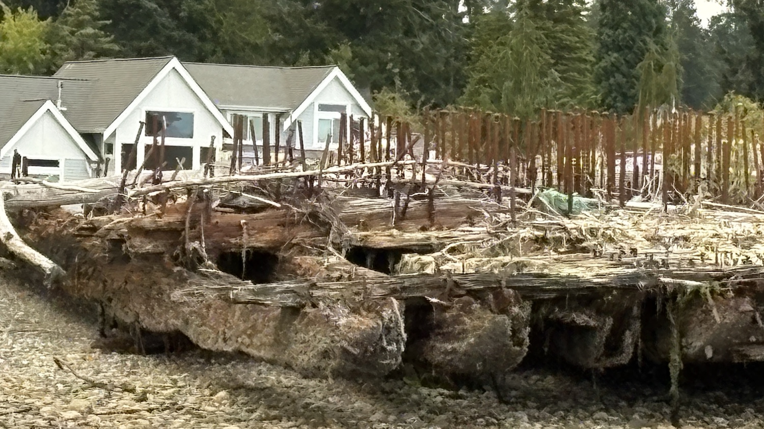 Detail photo of wreck structure